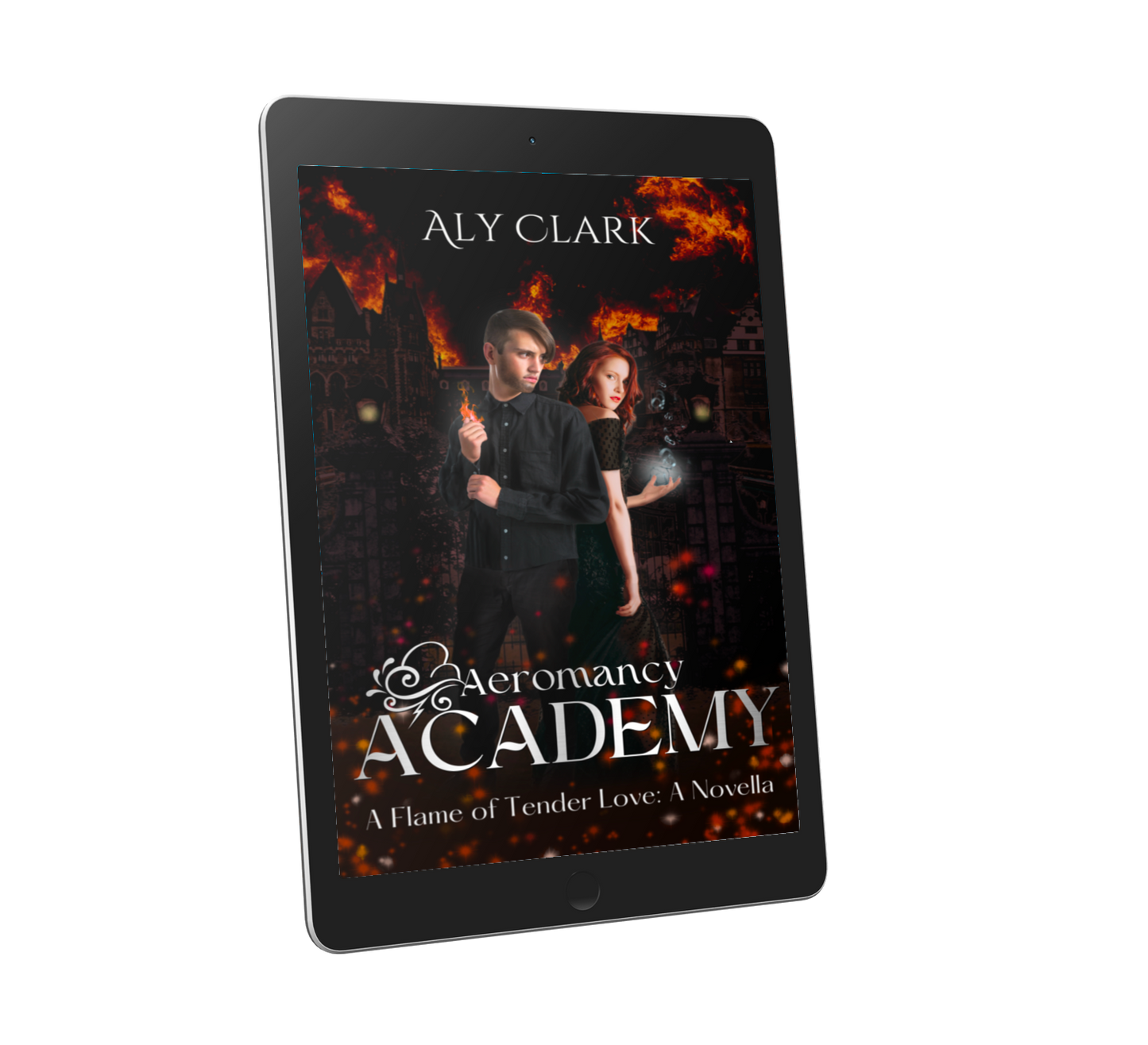 E-Book: A Flame of Tender Love (Aeromancy Academy Novella #2)